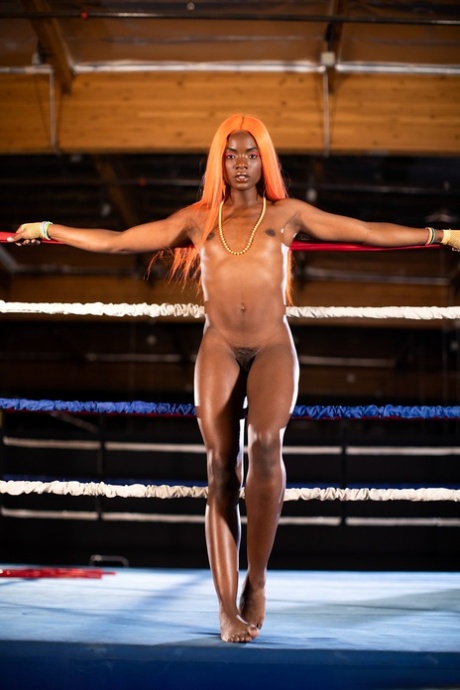 African Boxing Ring xxx archive
