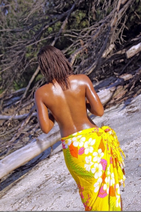 Brazzilian Indian Cuckold art naked pic