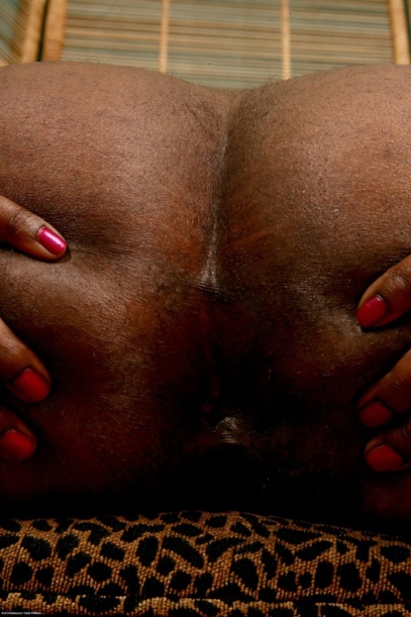 Brazzilian Joselyn James erotic photos