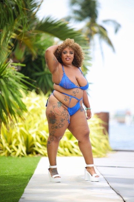 Black Ffm Bbw free sex galleries