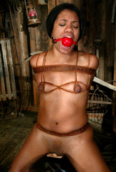Brazzilian Male Slave hot xxx photo